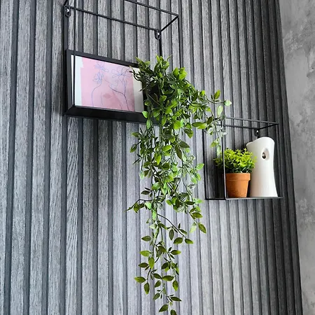 Luxury Apartment/studio Διαμέρισμα Φιλιππούπολη